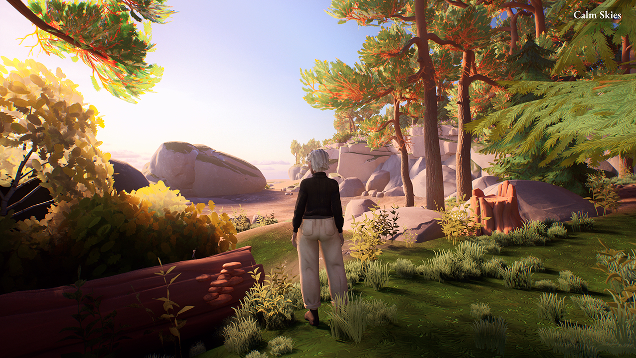 Exploring the archipelago environment